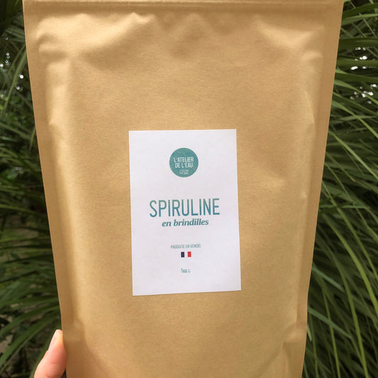 LA SPIRULINE EN BRINDILLES - 500g