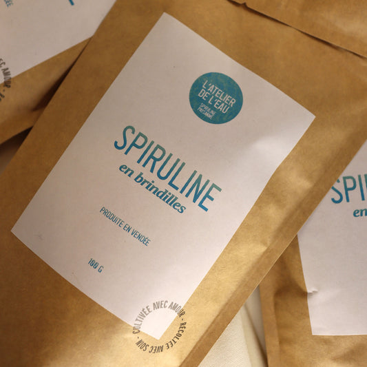 LA SPIRULINE EN BRINDILLES - 100g